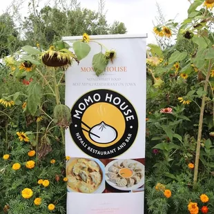 outside, sushi and sashimi