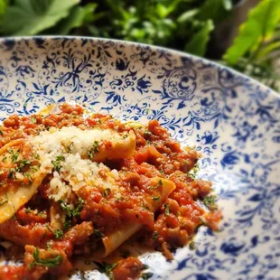 a plate of pasta with sauce and parmesan cheese