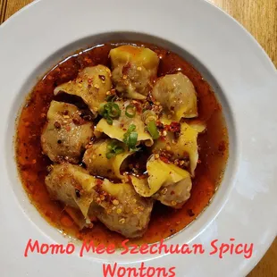 Szechuan Spicy Wontons