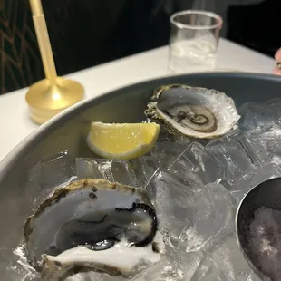 Oysters appetizer