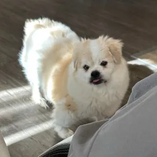 Angel F.