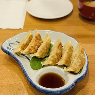 Pan fried gyoza