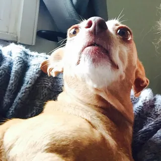 M. T.