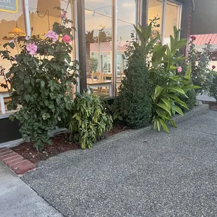 Exterior patio space