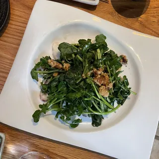 Tako & Cresson Warm Salad