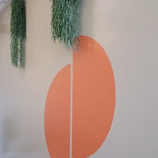 hanging plants on a wall