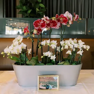 Gorgeous flowers provided by Momo's.