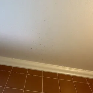 Mold on ceiling in bathroom