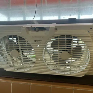 Mold in bathroom fan