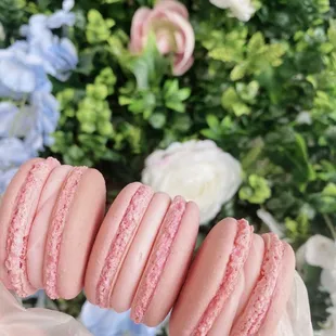 a hand holding a bunch of macarons