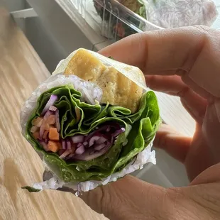 Tofu summer roll (bland, small, not recommended for now unless they improve it)