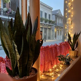 Our seat near the window looking onto Royal Street