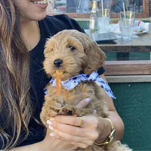 We love all the dogs!