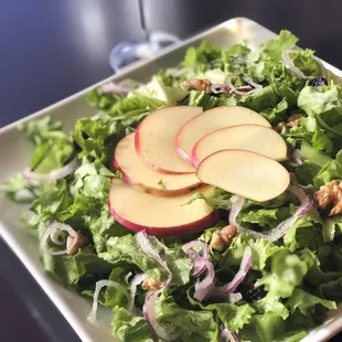 Vegan Salad: Mixed greens, sliced apples, cranberries, walnuts, red onions, cherry tomatoes topped with ginger sesame vinaigrette dressing