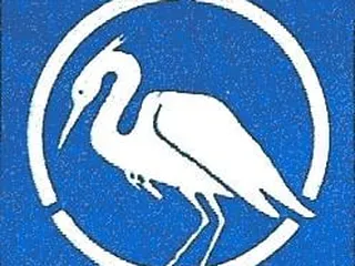 The Quest- Connections in Mind and Body