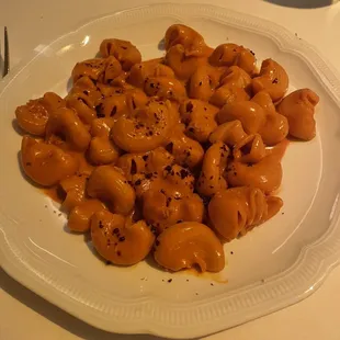 Rigatoni Alla Vodka