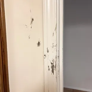 Damage from their installation.