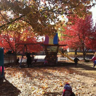 Our playground in the fall