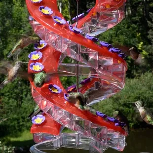 This is the cool feeder mentioned in the review.