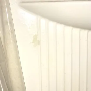 Peeling paint in tub shower area