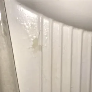 Peeling paint in tub shower area