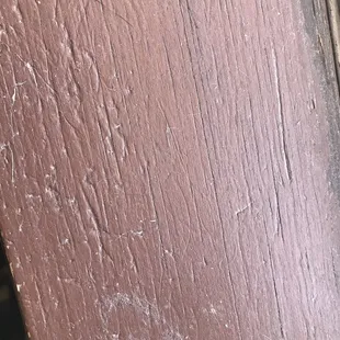 Cat hair on windowsills