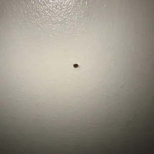 Hole in wall in hallway