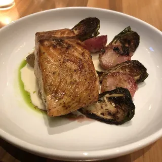 Salmon