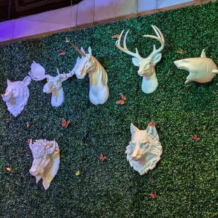 Okay, that's weird. At Monday Night Brewing, Charlotte