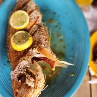 Fried Snapper