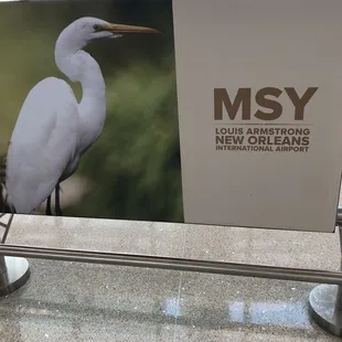 Mondo Pizza at the MSY airport