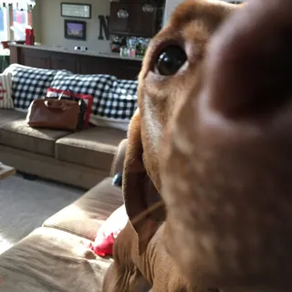 Jake N.