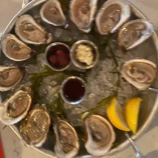 Oysters