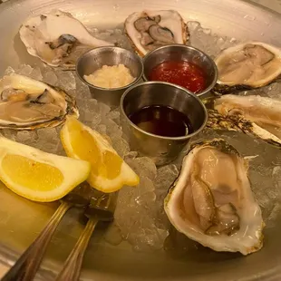 Oysters