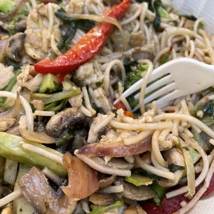 Stir fried chicken, veggies, noodles &amp; brown rice with mushroom sauce