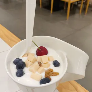 Mongolian cheese yogurt