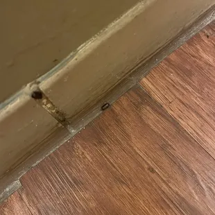 a crack in the floor