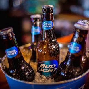 bud light bottles in a bucket