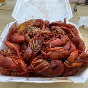 Crawfish