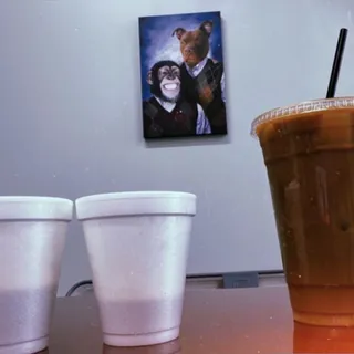 Cold Brew