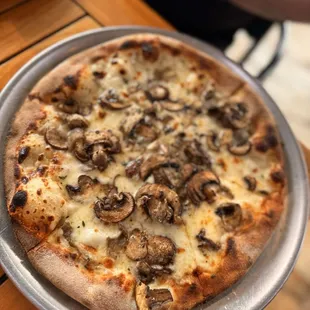 Mushroom and truffle oil pizza