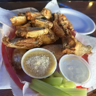 20 wings dry with garlic parm and ranch on the side