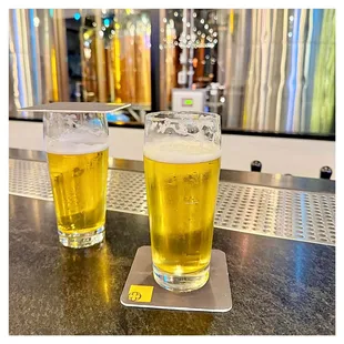 Beer
