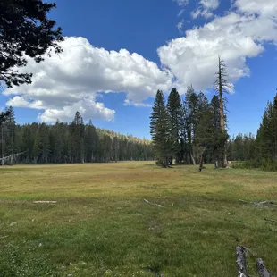 meadows near corbet lake
