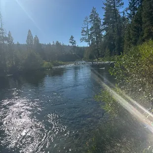 Great fishing or swimming