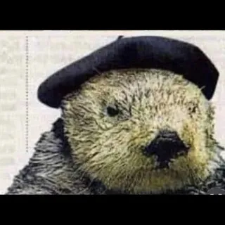 Phil A.
