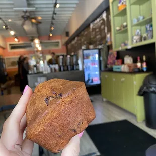 Pumpkin chocolate chip muffin
