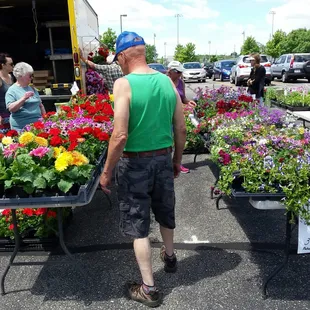 a man looking at flowers