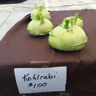 HUGE Kohlrabi.