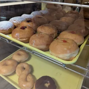 Happy Paczki Day 3/4/25